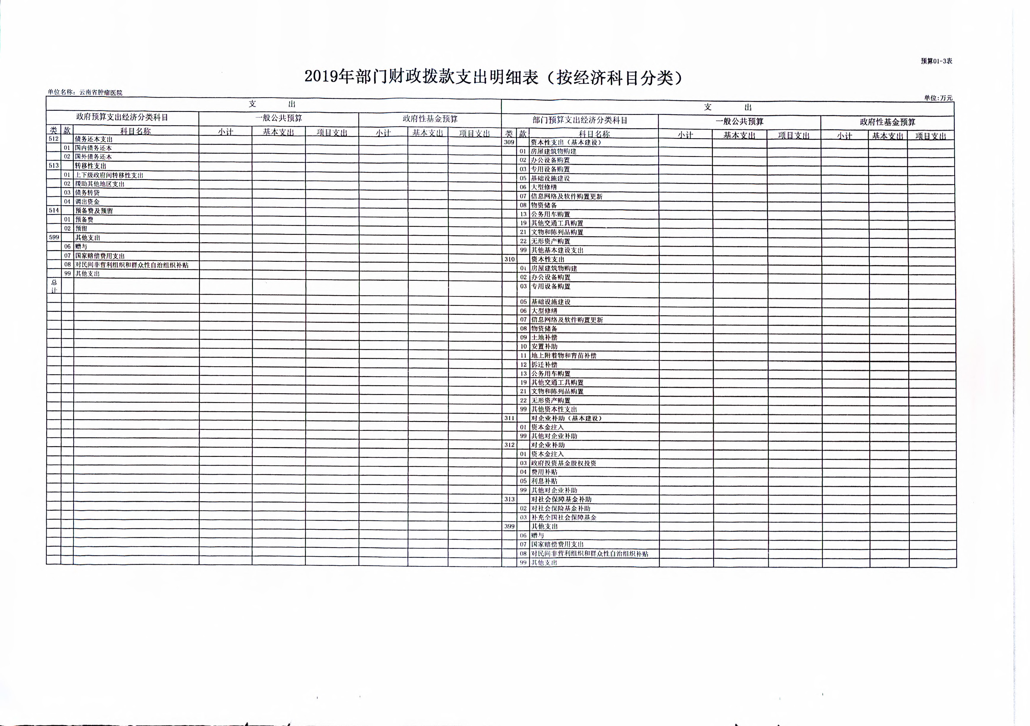 《云南省卫生健康委关于开云体育网站下载网址
2019年部门预算的批复》（云卫规财发【2019】1-10号_页面_10